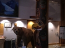 Alaska Cruise 2015 137