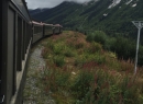 Alaska Cruise 2015 377